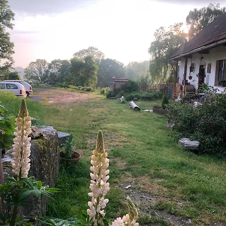 Holiday home 127 Let Stara Se Spanim Na Peci A Finskou Saunou *